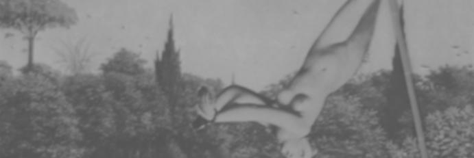 PleaseHoldMag's profile banner image