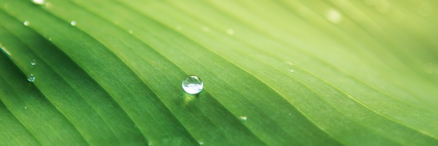 CodyFletcher1's profile banner image