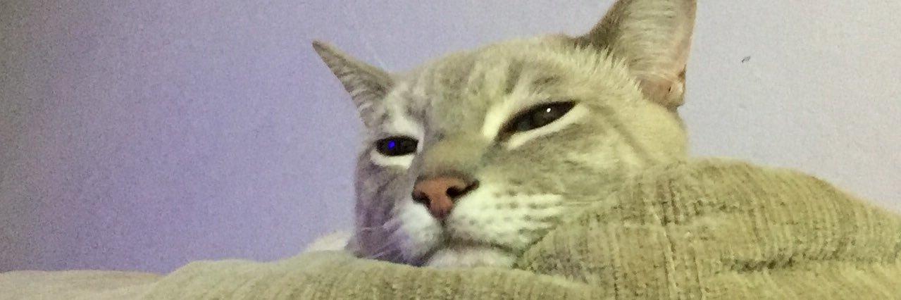 rafaelachefer's profile banner image