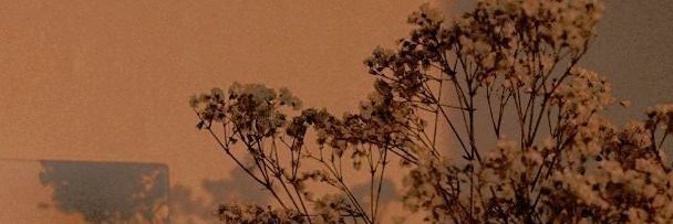 zwanrodriguez's profile banner image