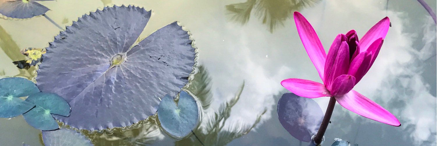randijay109's profile banner image