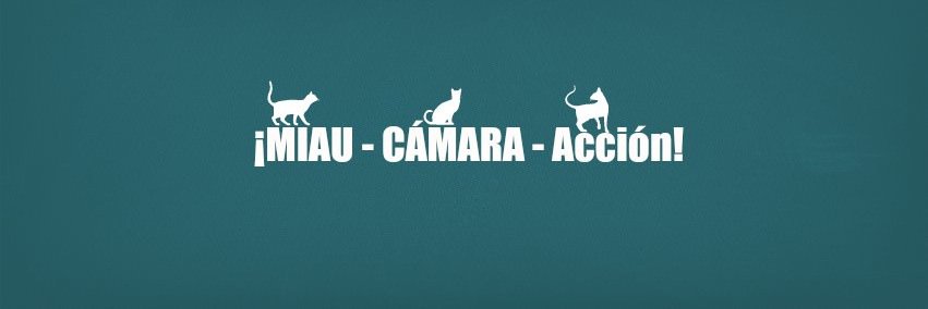 GatunoFilms's profile banner image