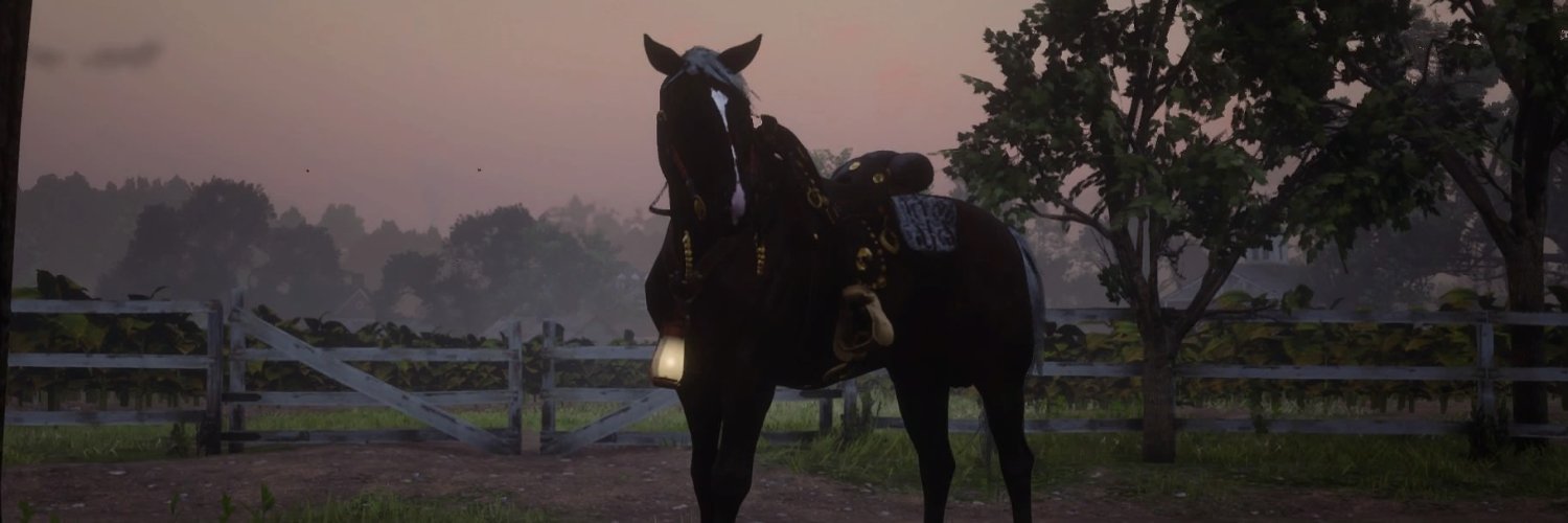 DuckSituation's profile banner image