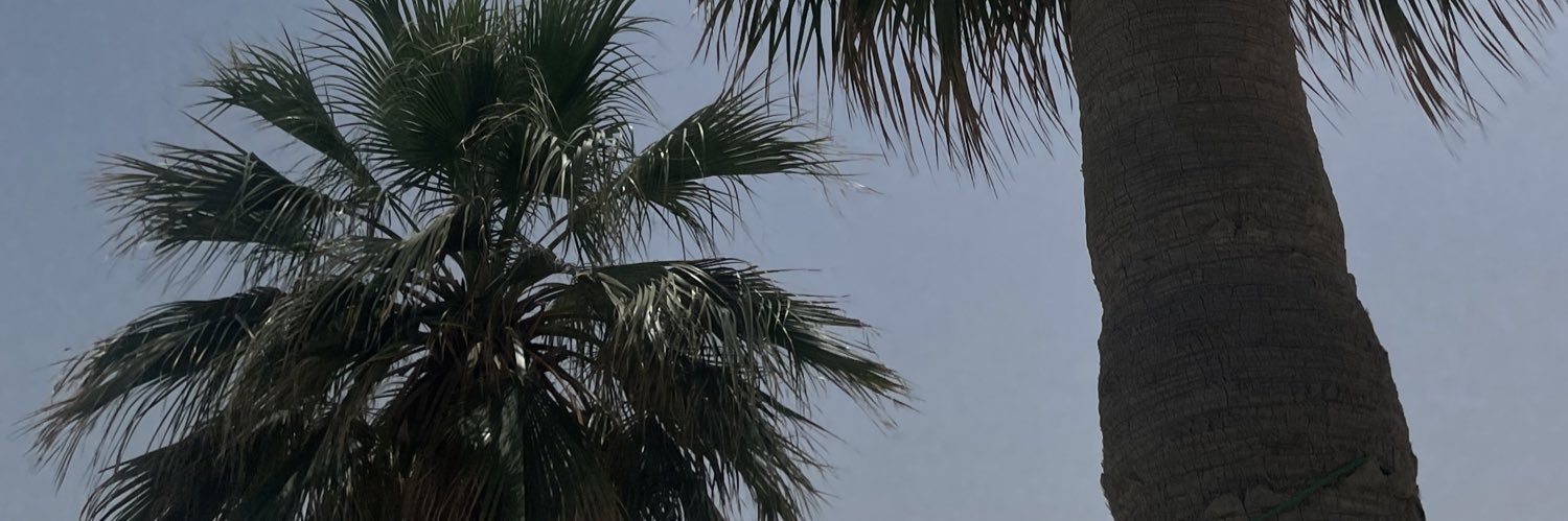 saalqallaf_'s profile banner image