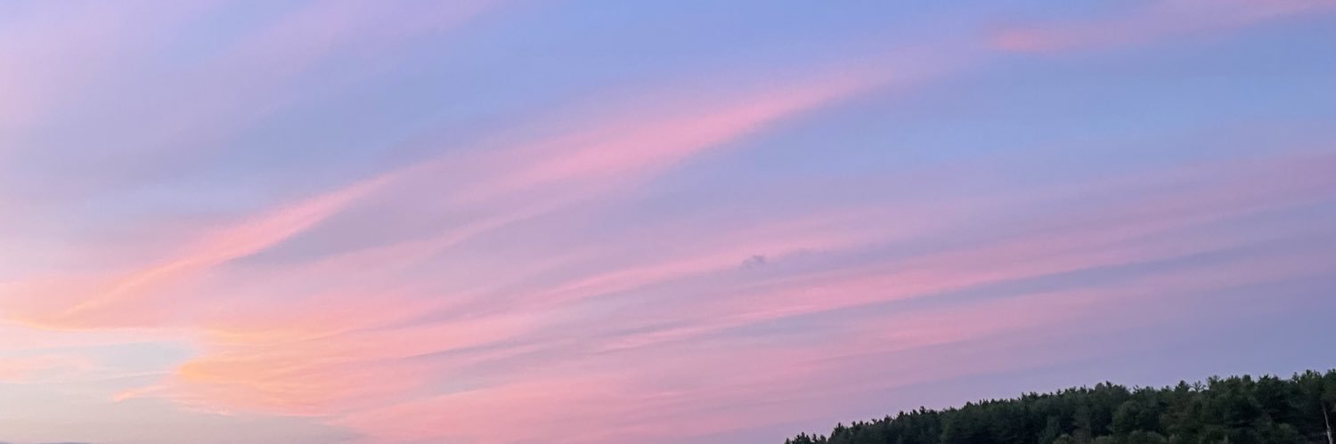 brigid_scanlon's profile banner image