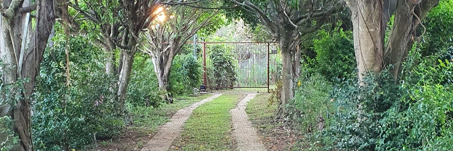 vitosouza's profile banner image