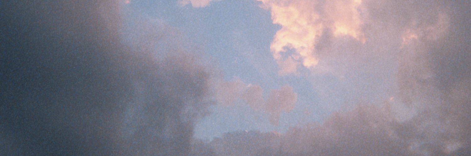 lisa 🏴 banner