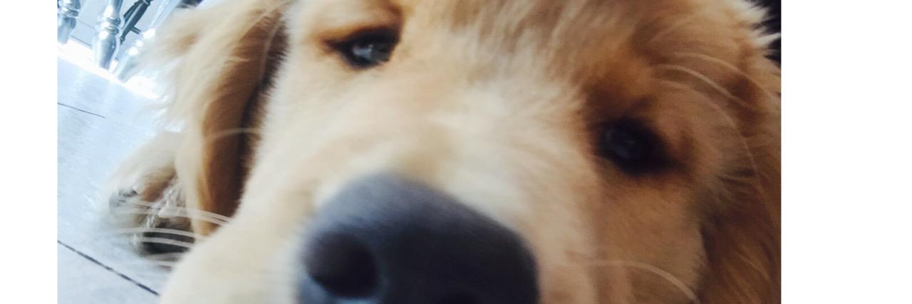 gderito's profile banner image