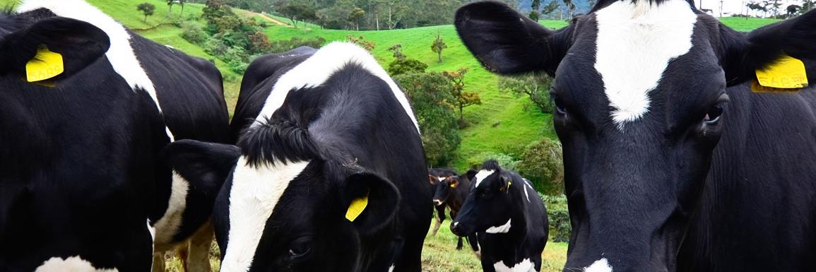 getfarmingNZ's profile banner image