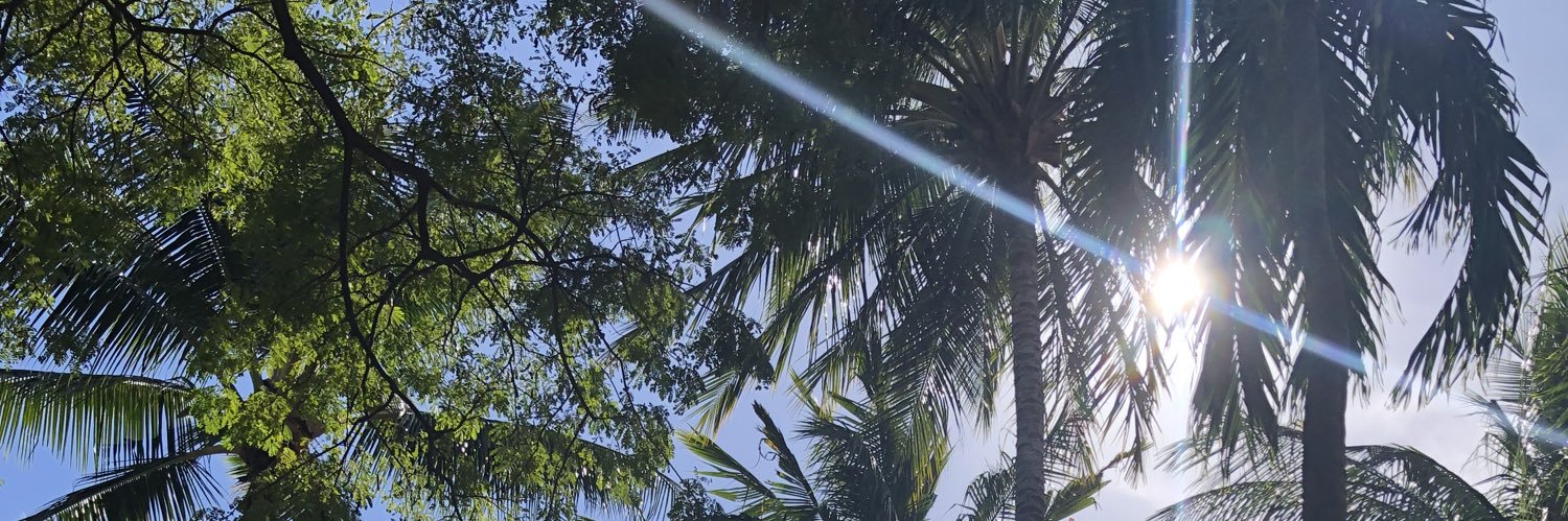nomuchoa's profile banner image