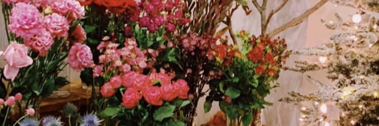 tchz03's profile banner image