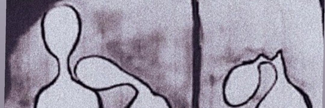 NAMIMDIR's profile banner image