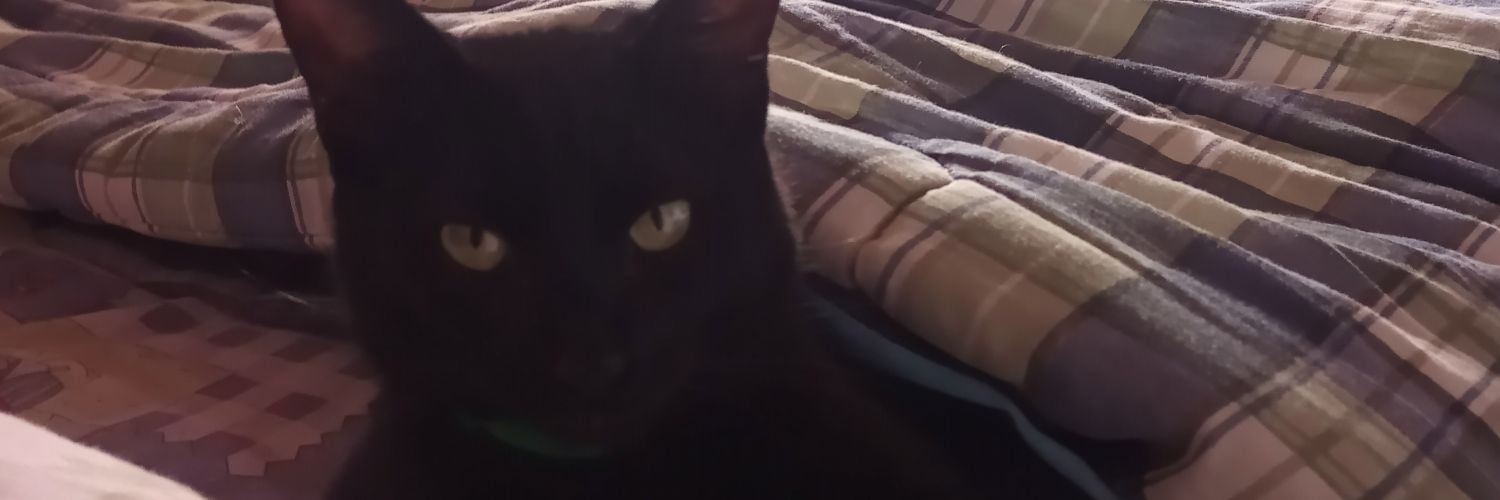 CamilaaB99's profile banner image