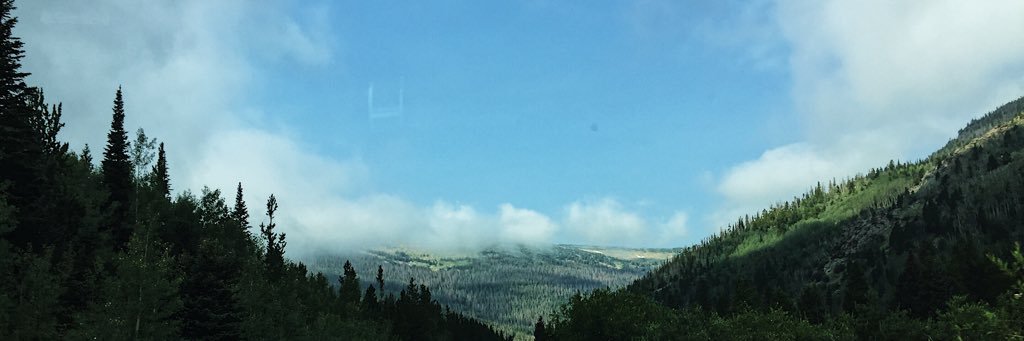EmmaWesRed's profile banner image