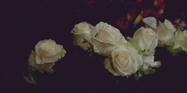 SS_MM_CCC's profile banner image