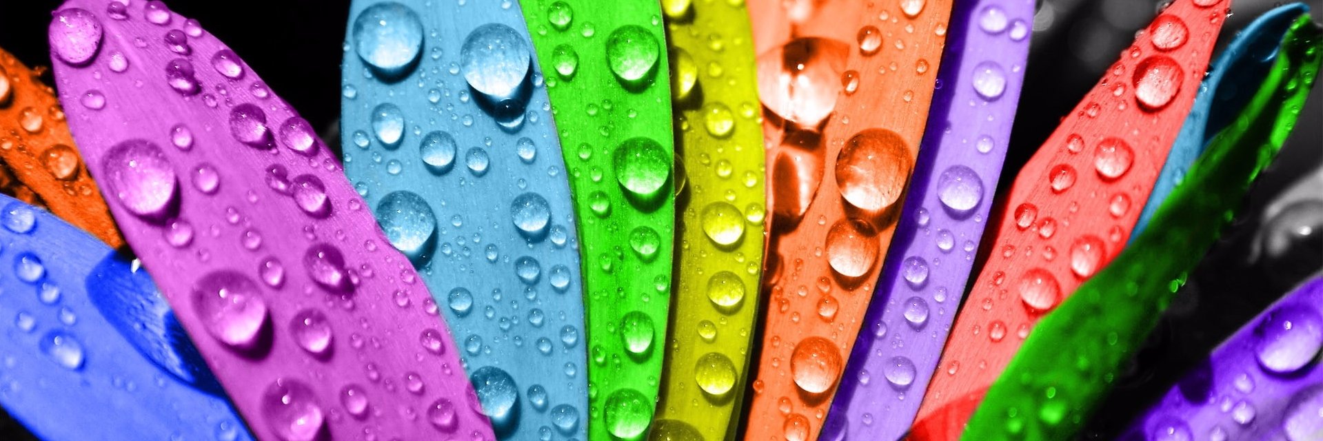 clarikocar's profile banner image
