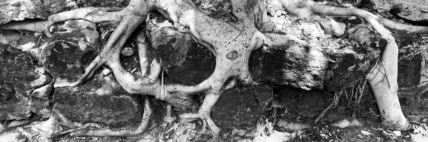 Gernot Werner Gruber banner