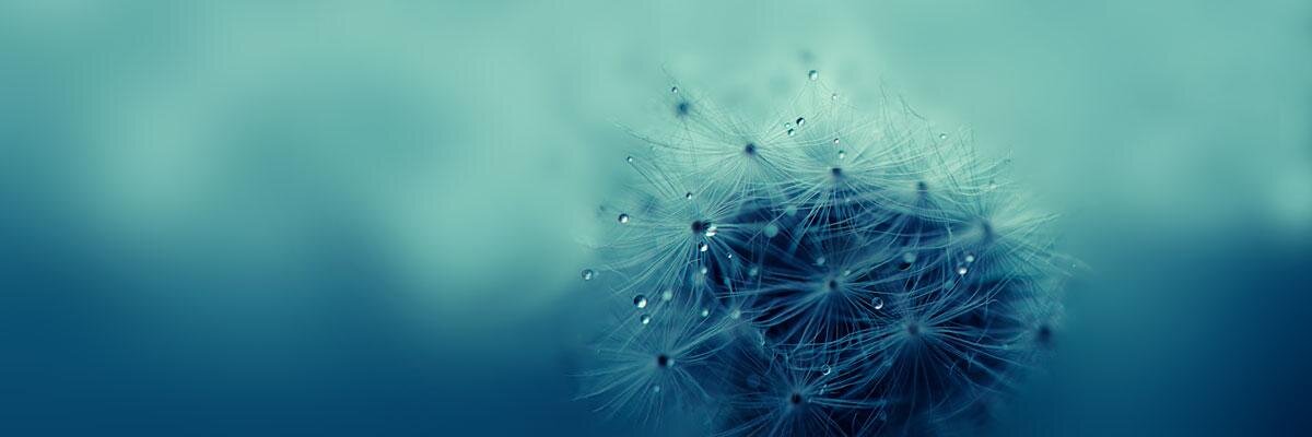 shantanusb's profile banner image