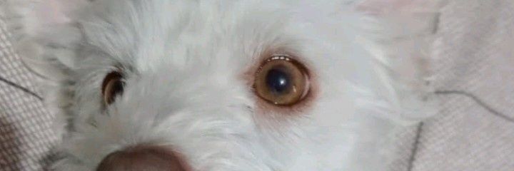 fatiguanco's profile banner image