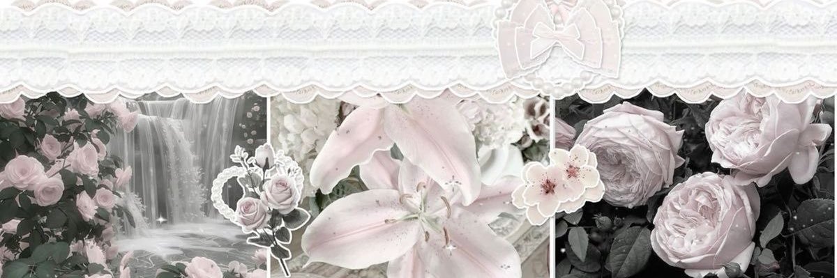 gozdesinalp's profile banner image