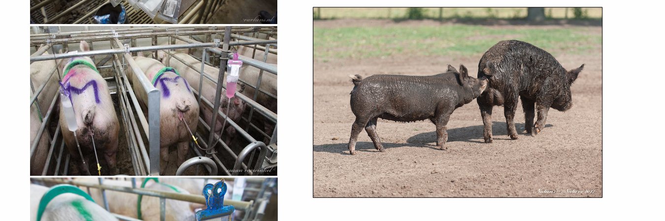 One Single Planet - Respect Your Mother Earth banner