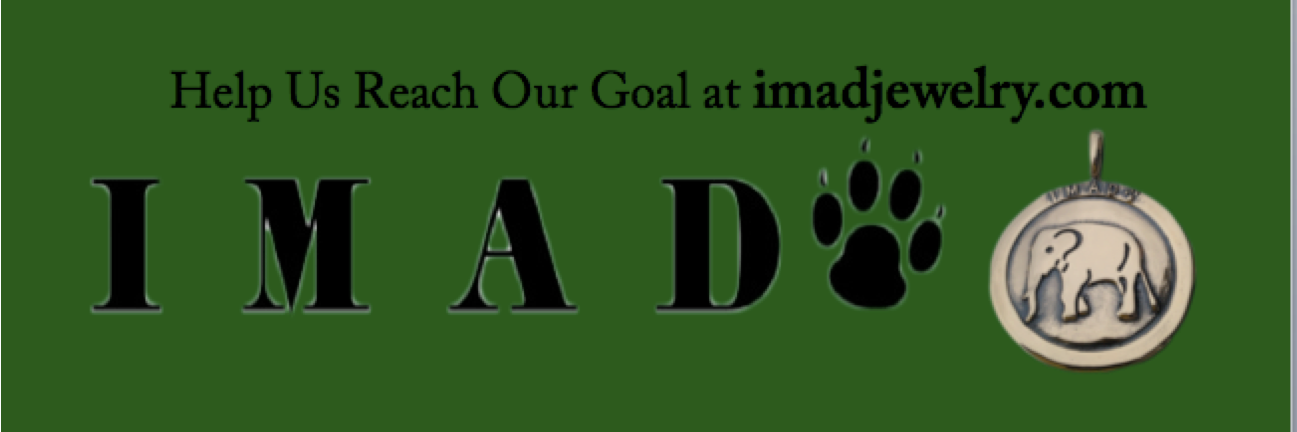 IMADJewelry's profile banner image