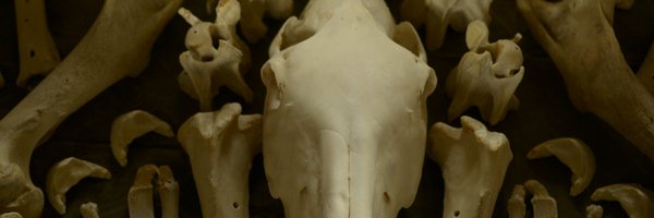 matthewherbert Profile Banner