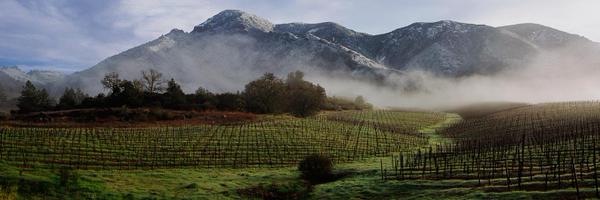 SpireCollection Profile Banner