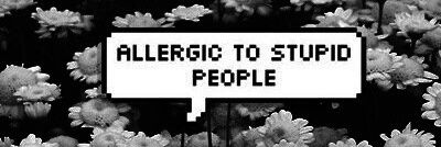 QueenPettywise's profile banner image