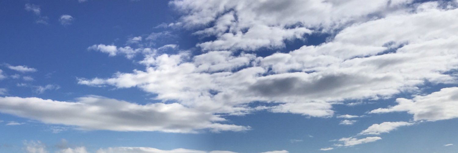dartmouther's profile banner image