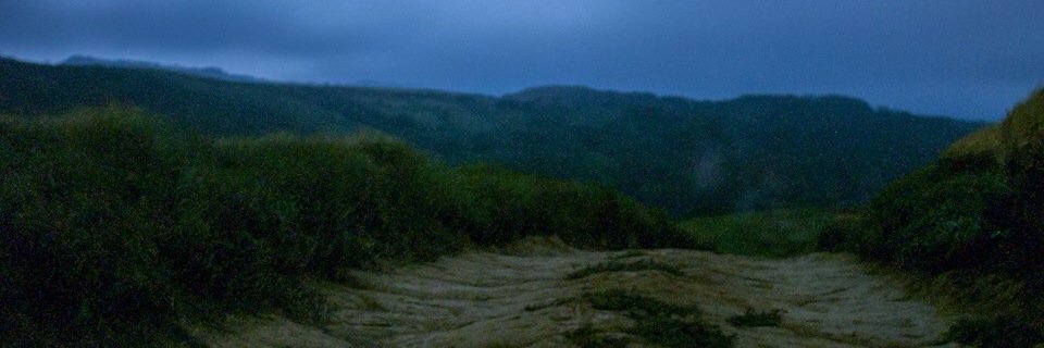 Suqui_Lopez's profile banner image
