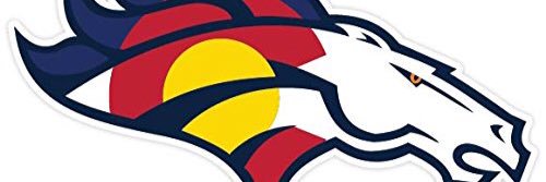 Steve Iwerks banner