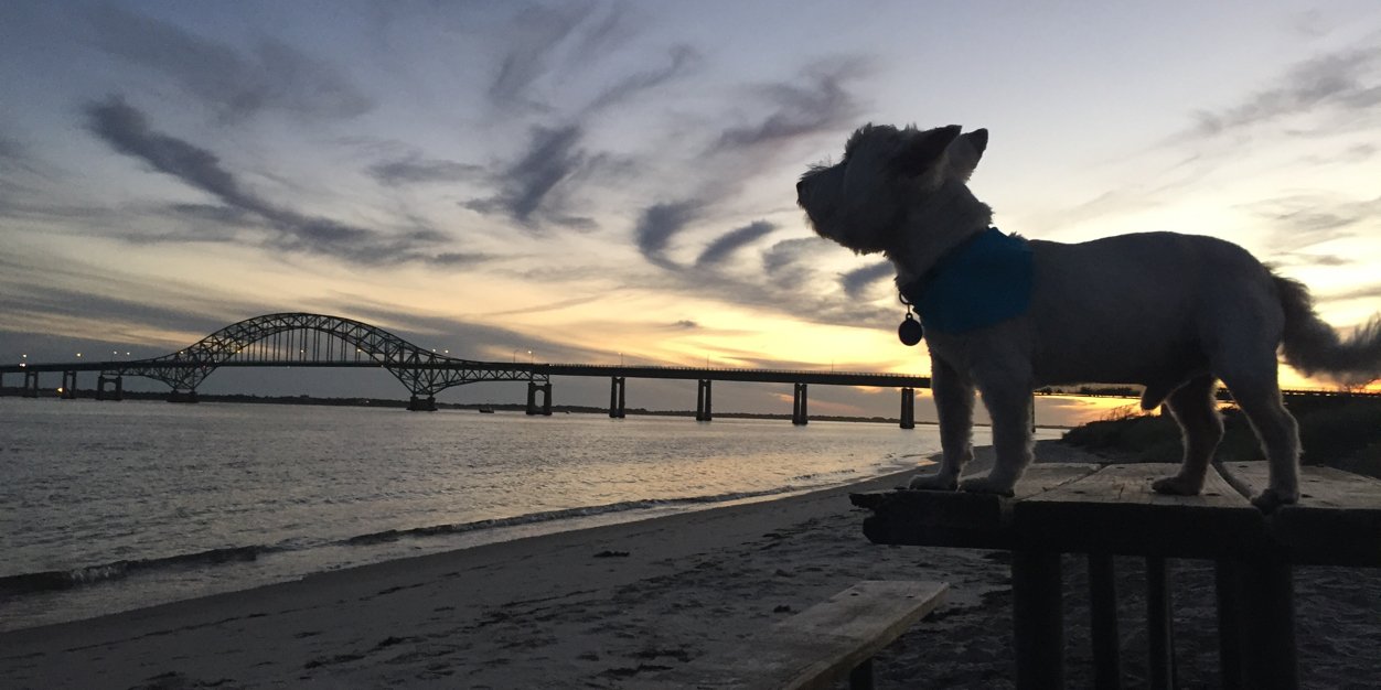 BeeWaz's profile banner image