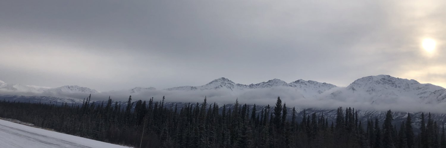 castorphan24's profile banner image