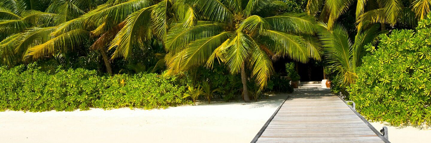 StephWard0117's profile banner image