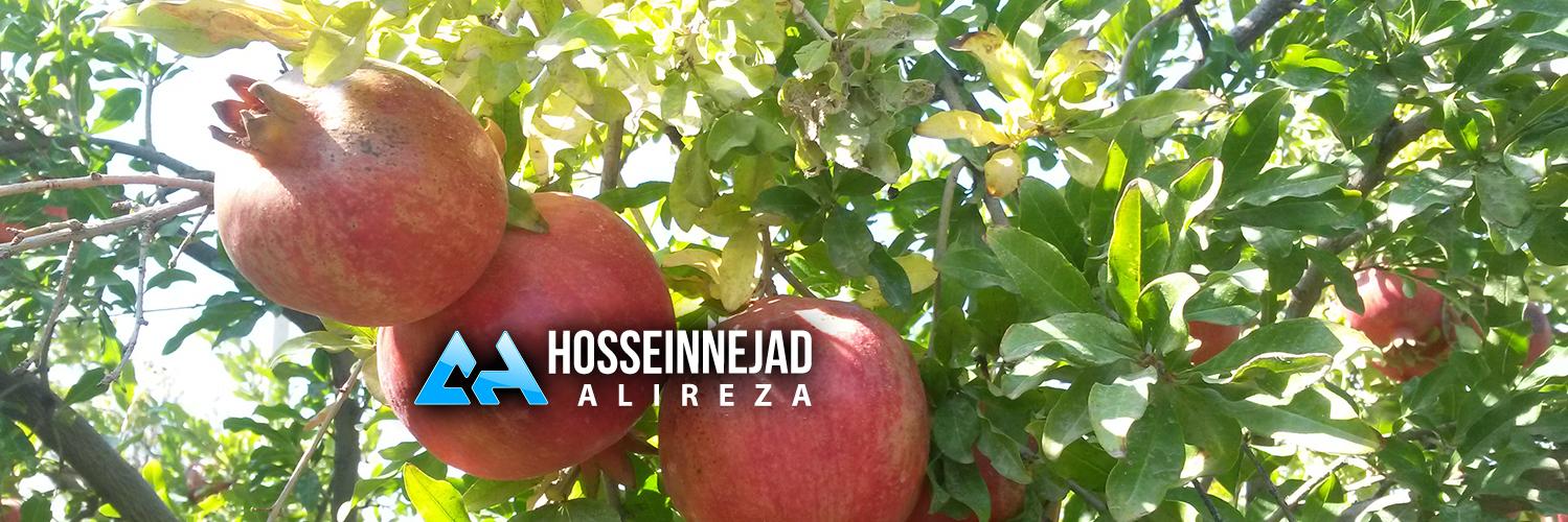 Hosseinnejadcom's profile banner image