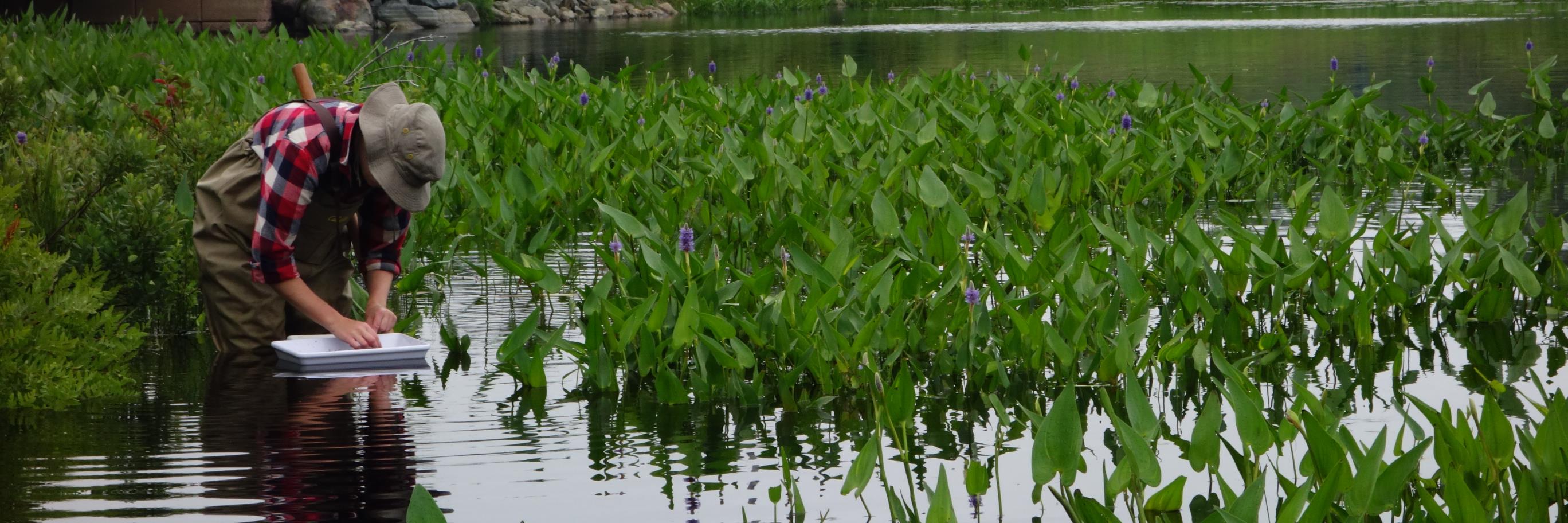 Environment@SMU banner