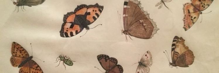 adioree's profile banner image