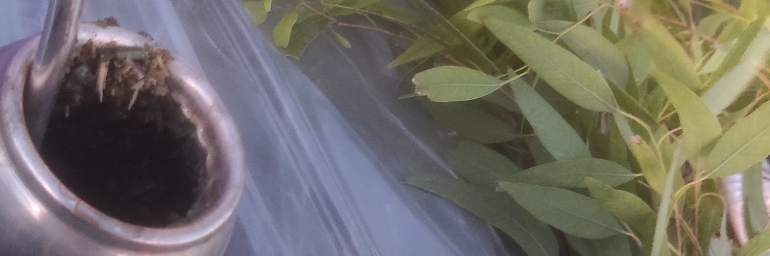 NNothingIsReal_'s profile banner image