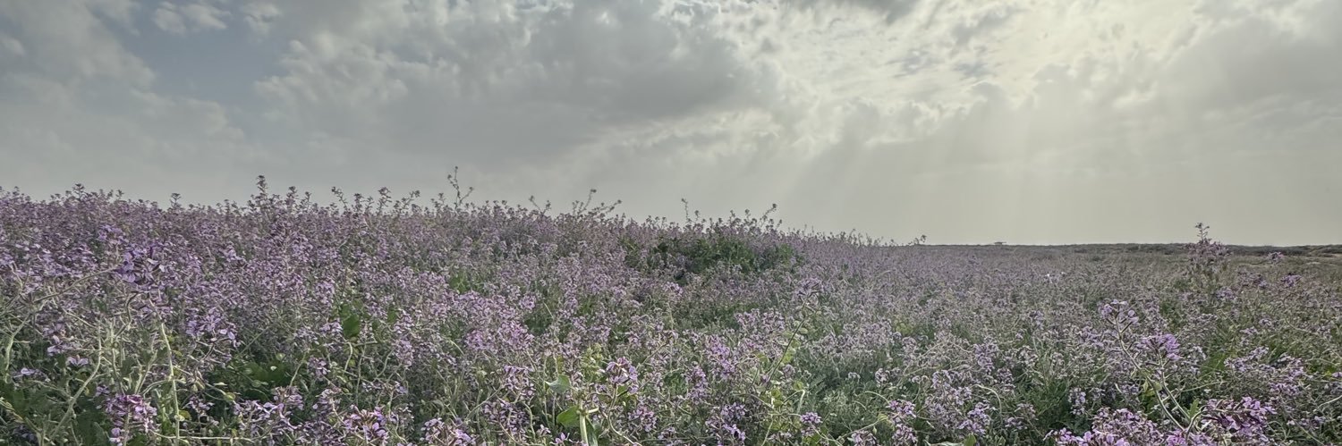 org4444's profile banner image