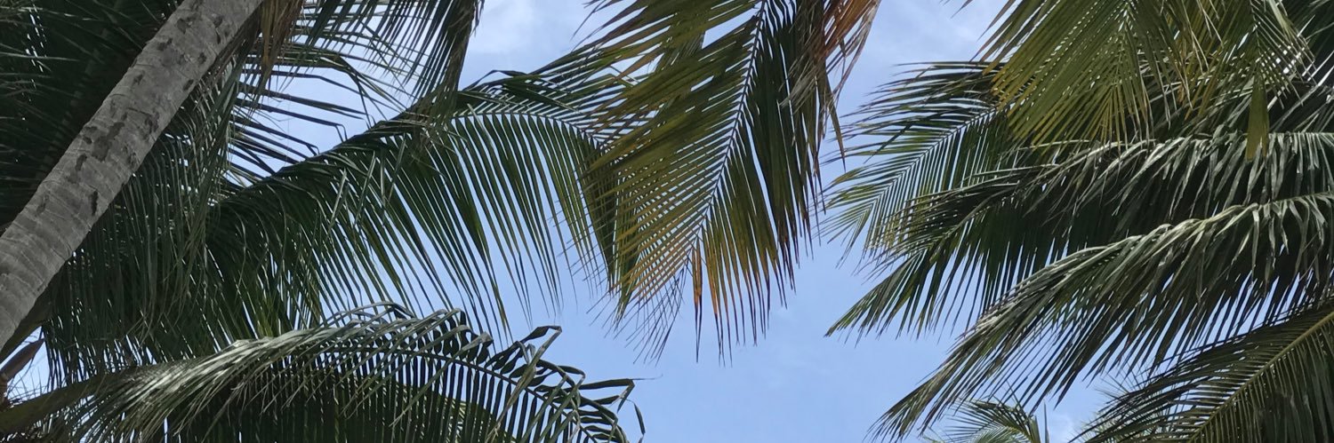 _KaysaLima's profile banner image