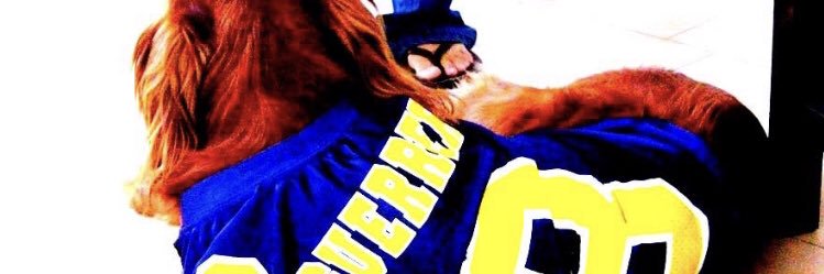 ruliromer's profile banner image