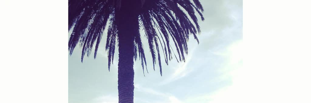 Giiachuu's profile banner image