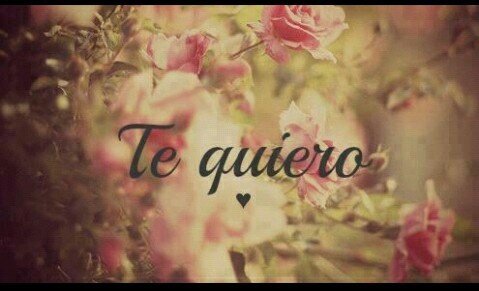 Itzel1602Del's profile banner image