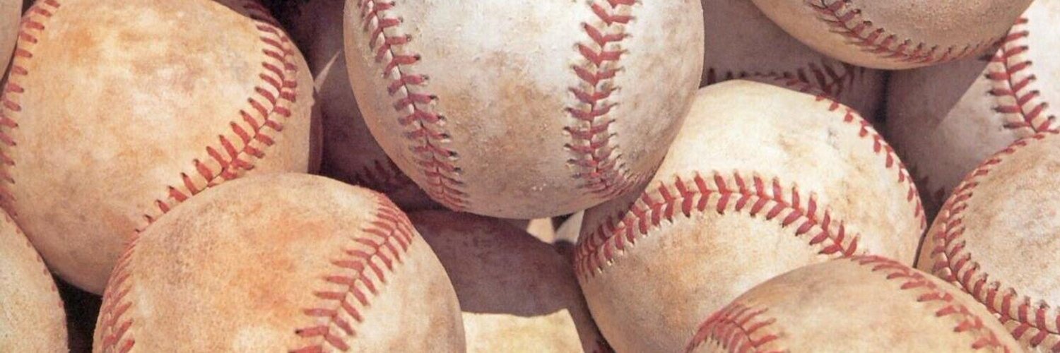 Windsor Selects Baseball Profile Banner
