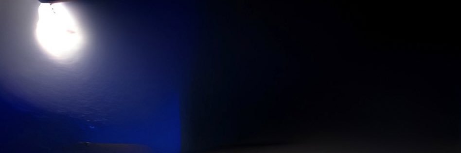 Tyler banner