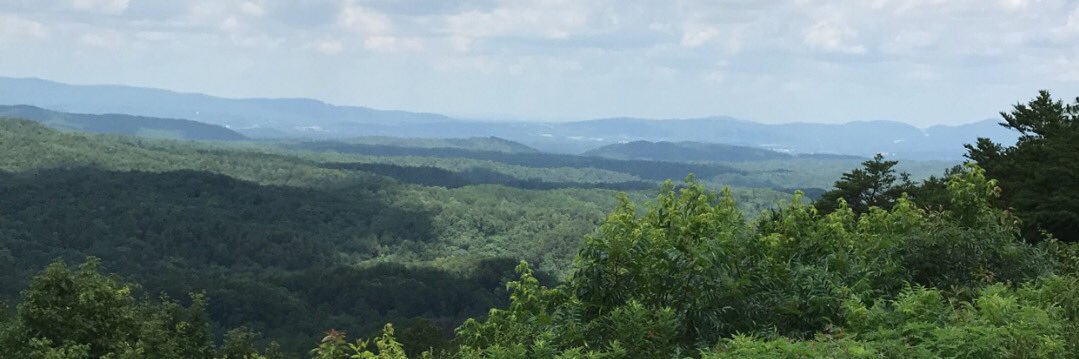 jodileightucker's profile banner image