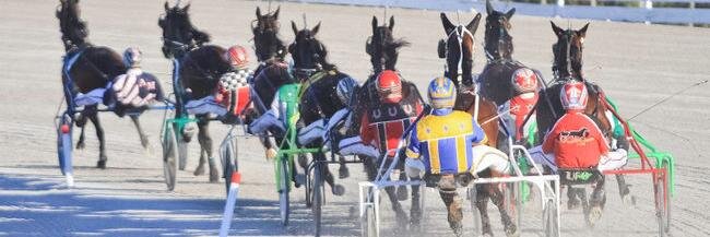 DresdenRaceway's profile banner image