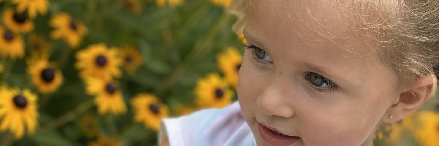 ElainMallorie's profile banner image