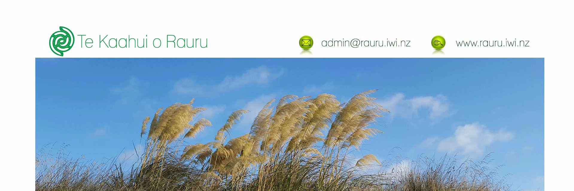 Te Kaahui o Rauru banner